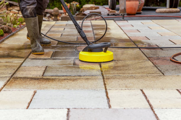 Best Dumpster Area Cleaning  in Nederland, TX